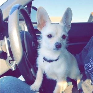 Meet your Posher, Selena